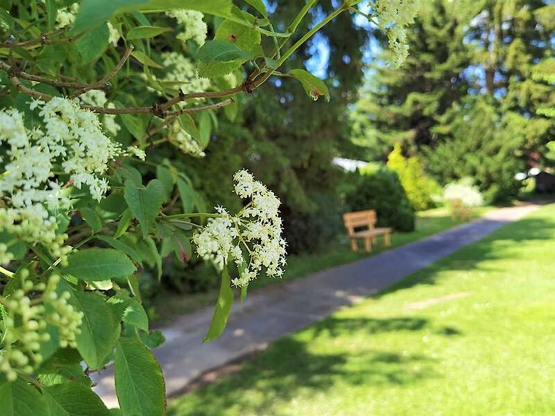 Gartenanlage zum entspannen im Hotel Hochriegel in Spiegelau